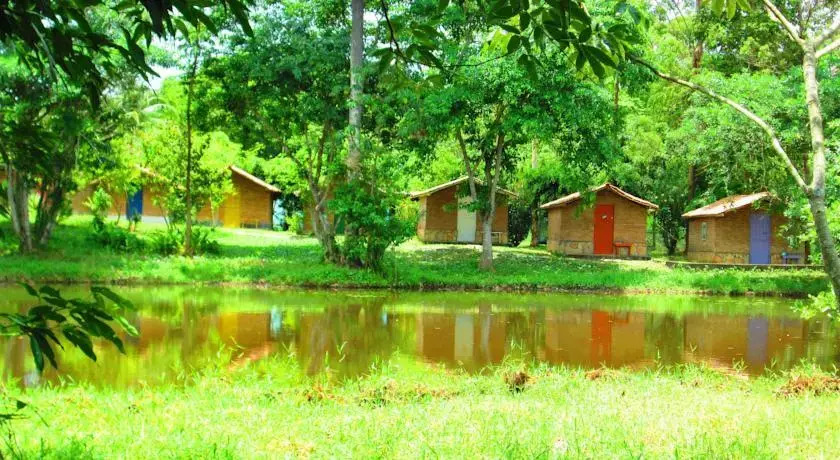 Fundação Terra Mirim