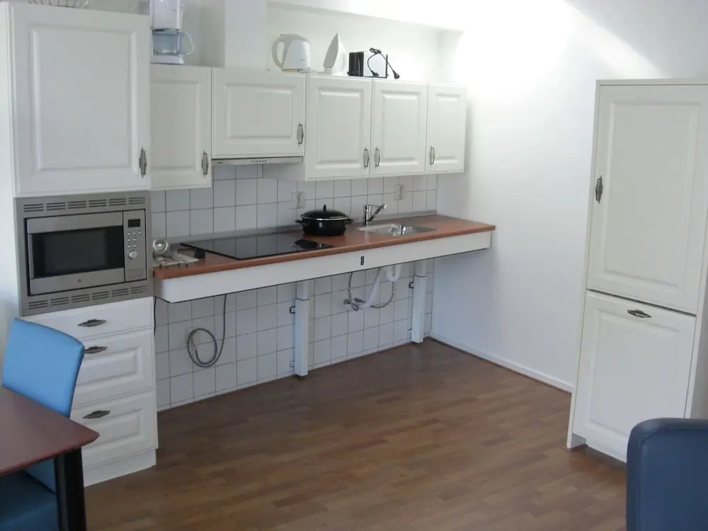 Luxurious and Adapted Holiday Home at the Schoorl Dune Area