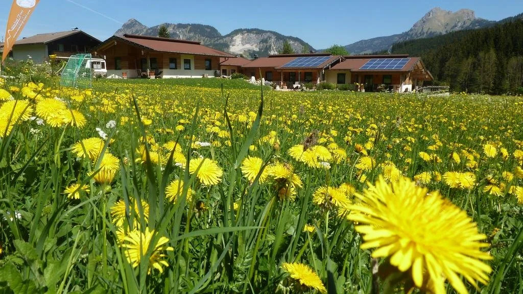 Almdorf Tirol