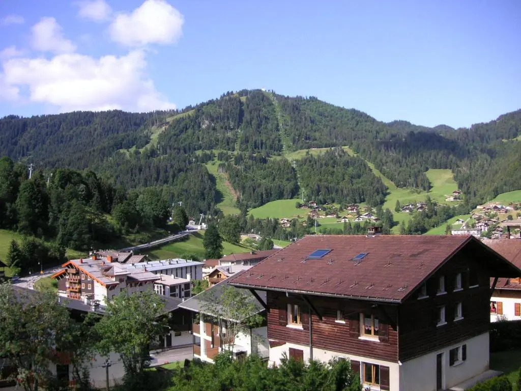 Appartement La Clusaz, 1 pièce, 4 personnes - FR-1-437-11