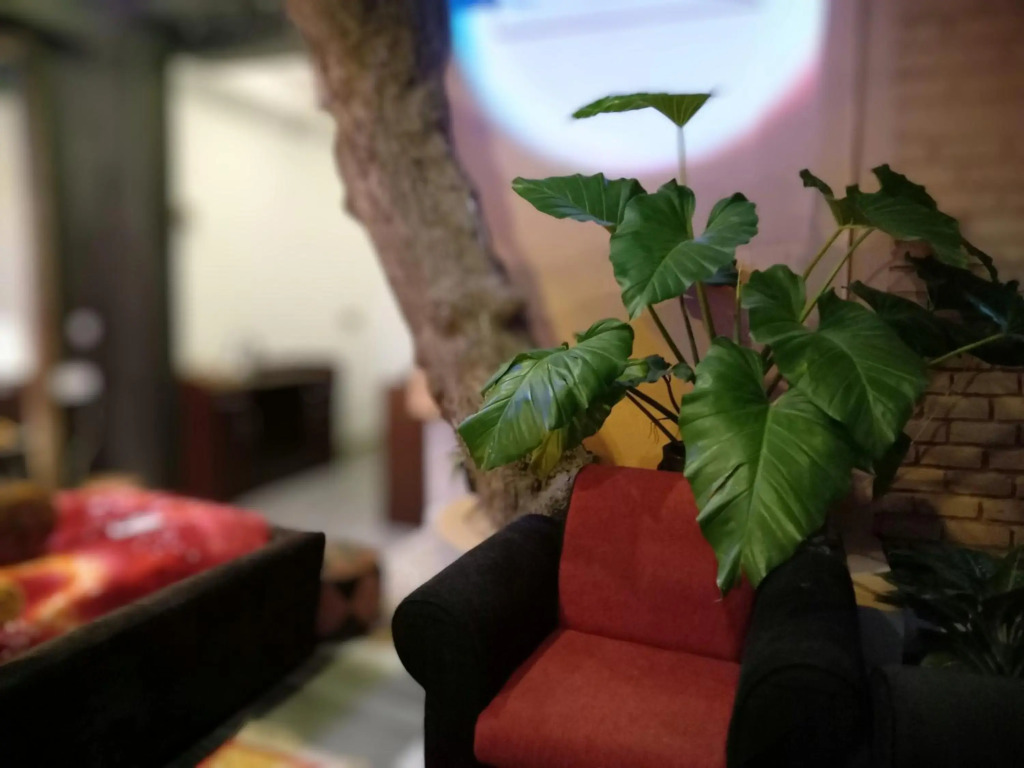 Serendib Village Guest House