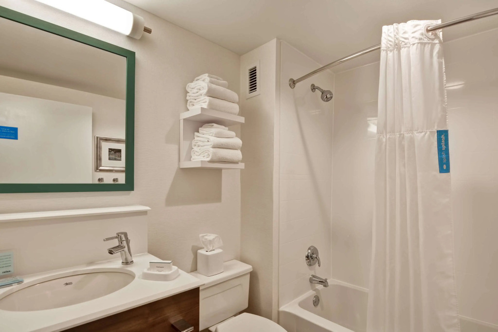 Hampton Inn Memphis-Poplar