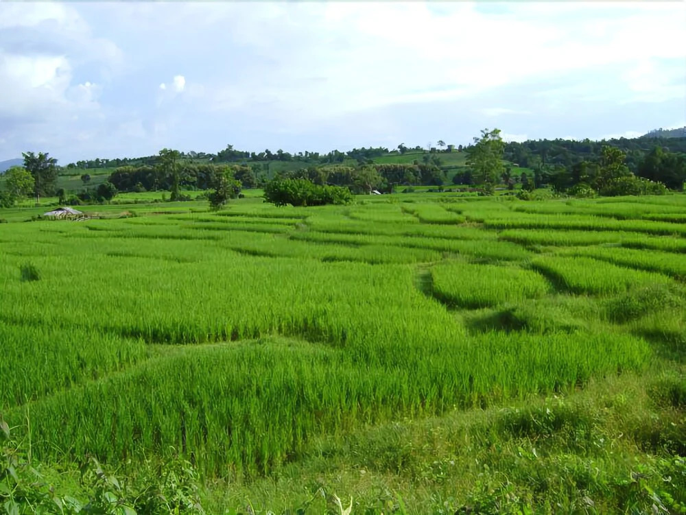 Bannumhoo Homestay Resort & Camping