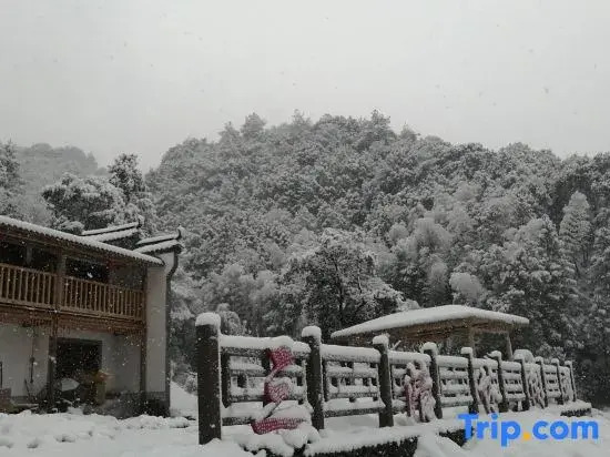 Sanqing Mountain Forest Yunshan Residence