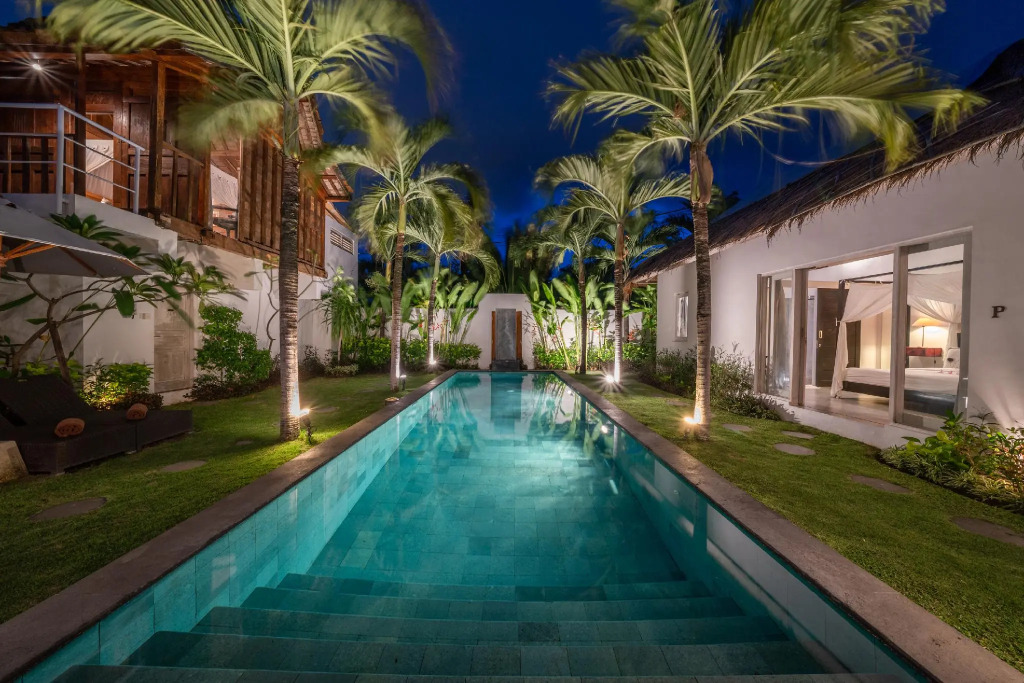 Villa Palm Tree
