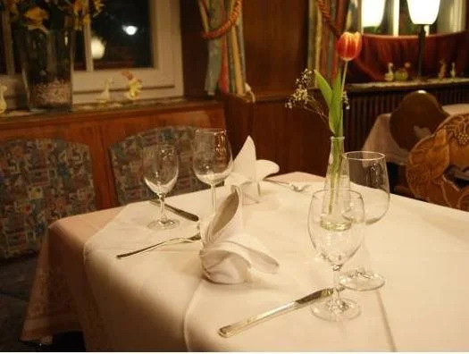 Hotel Ulmer Spatz