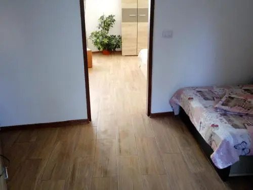 Apartament Daniel