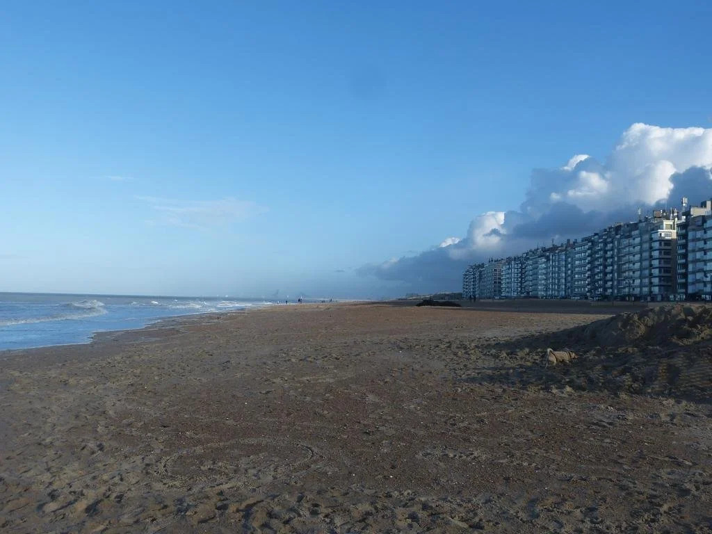 Bed and breakfast De Tulp aan zee