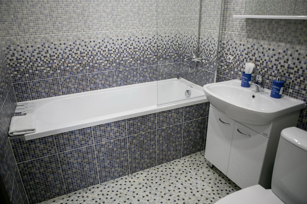 Apartments Malina (Апартментс Малина) на улице Ленина 17