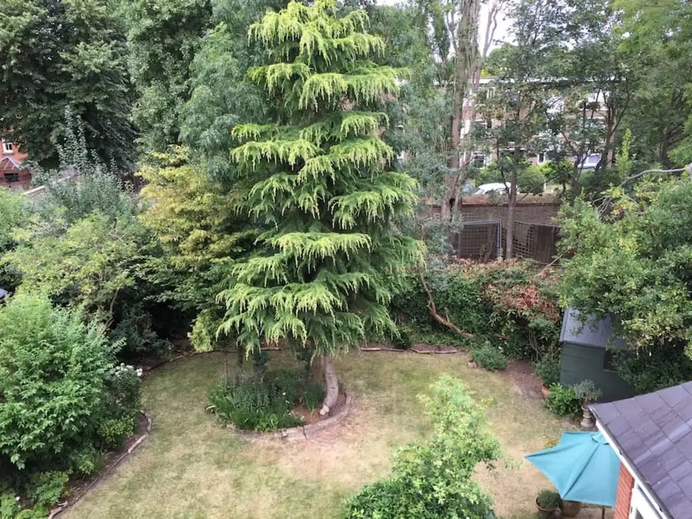Studio Apartment In Putney