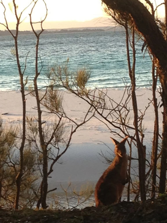 Huskisson Beach Motel