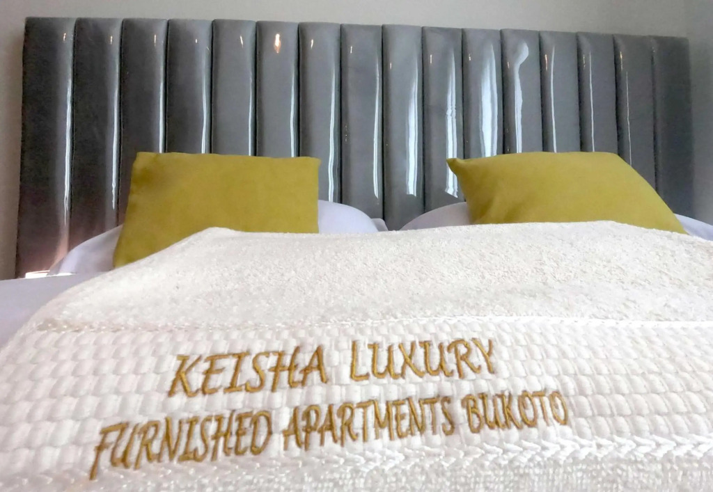 Keisha Luxury Furnished Apartment Bukoto with great Wifi and power back up