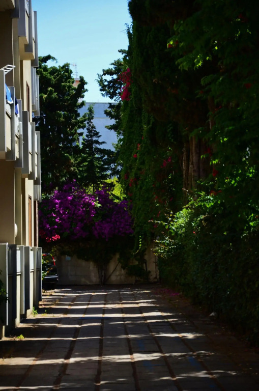 Residence Eucalipti