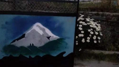 Mount Guest