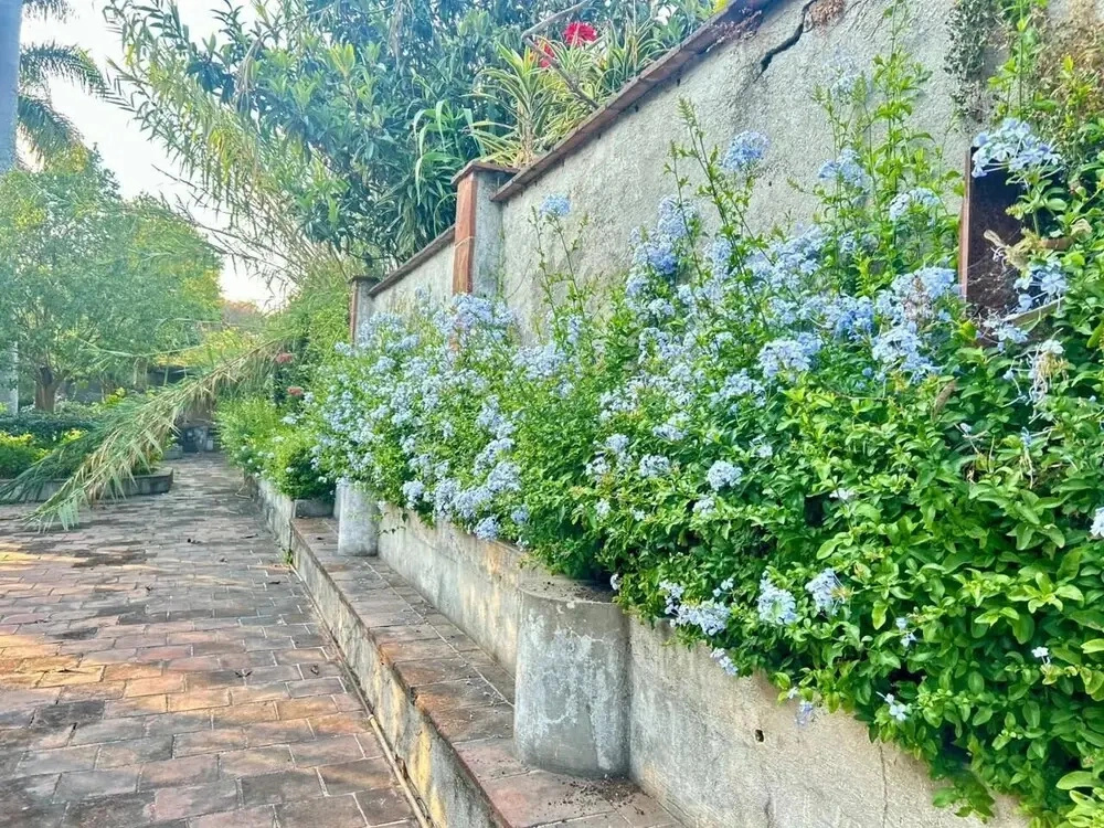 Casa Del Pozo