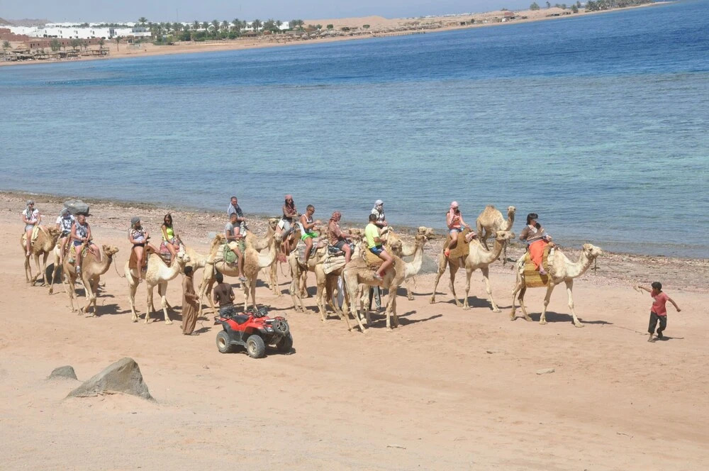 Nice Apartment in Sharm