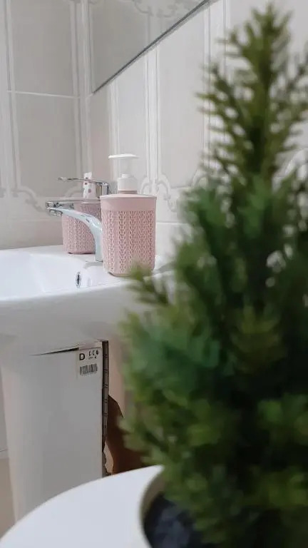 Elitnye apartamenty v Tsentre