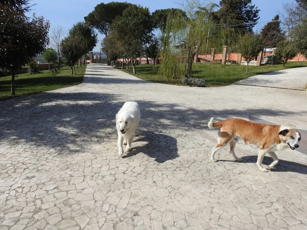 alloggio turistico confortevole Passo Corese