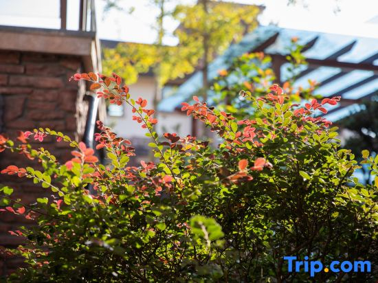 Wuyishanshuyan Mengli Shuixiang Holiday Villa