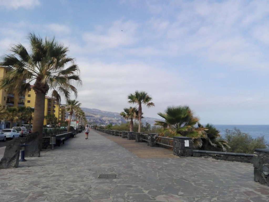 Paradise Candelaria