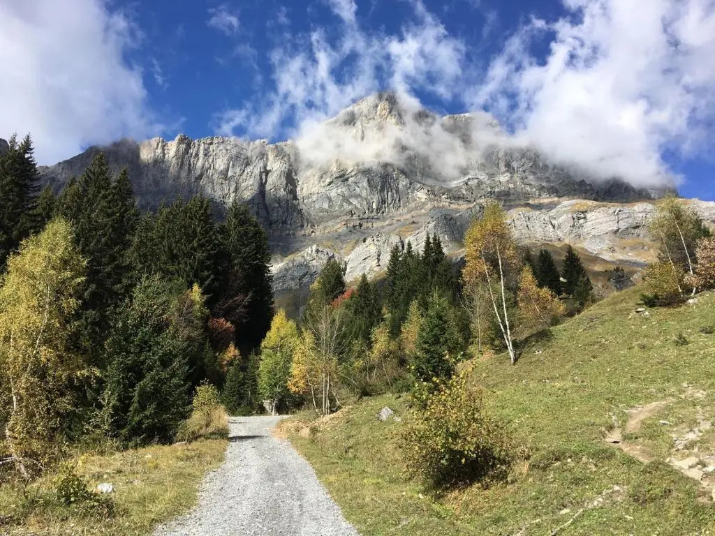 Fizhome Mt Blanc