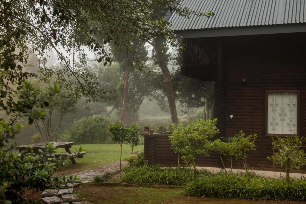 Viewpoint - Cabin 5