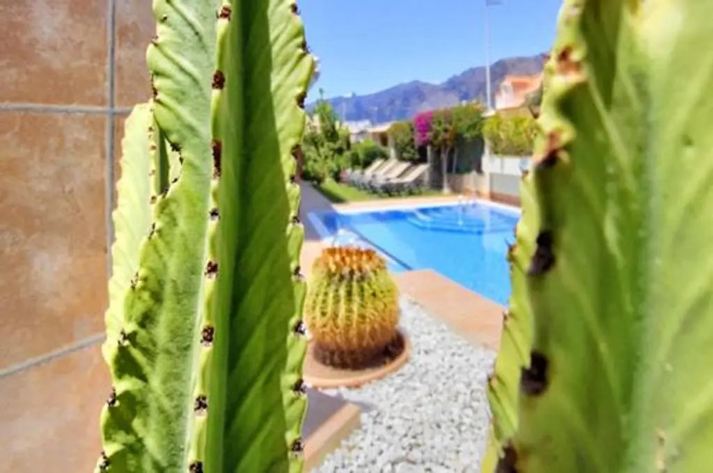 4 bedrooms chalet with sea view private pool and enclosed garden at Santiago del Teide 1 km away from the beach