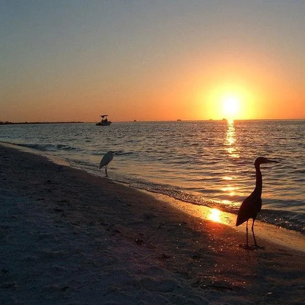 Gulfview Manor Resort