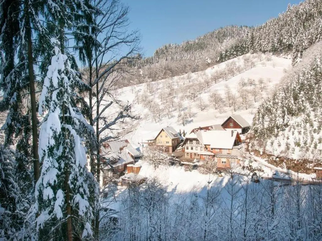 Vogthof