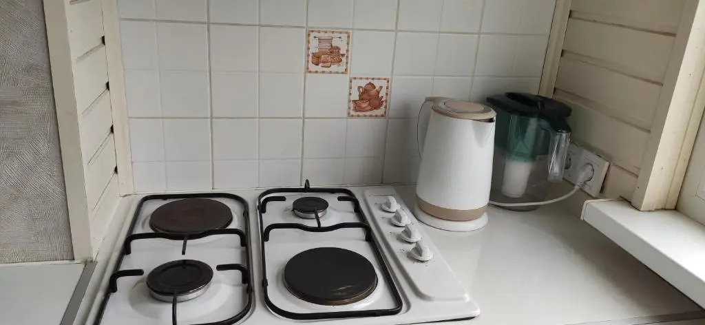 Apartment in the Karakol heart