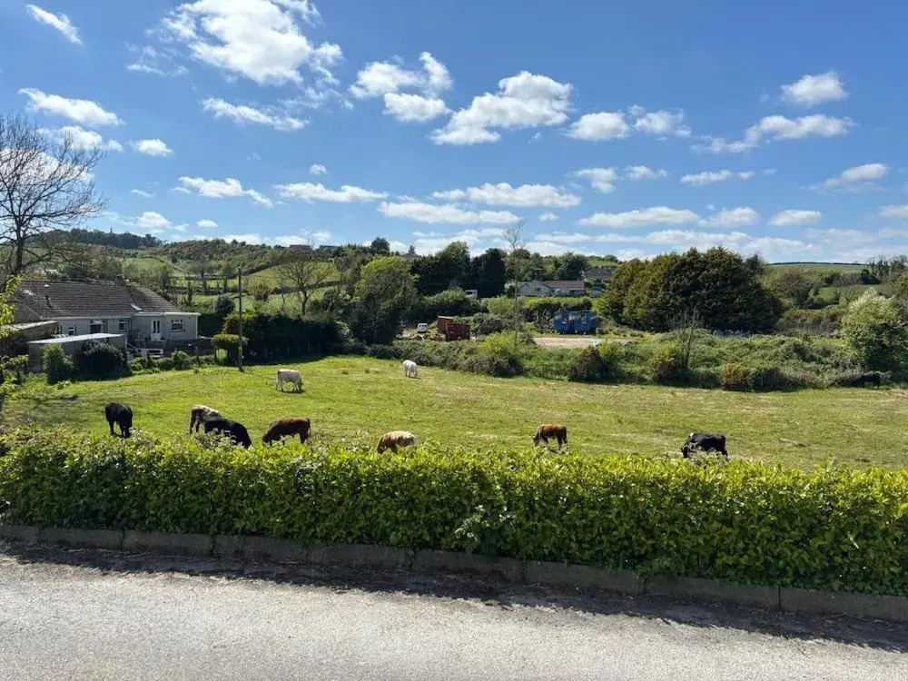 Christinas Cottage - Family- Garden-wifi-sleeps 6