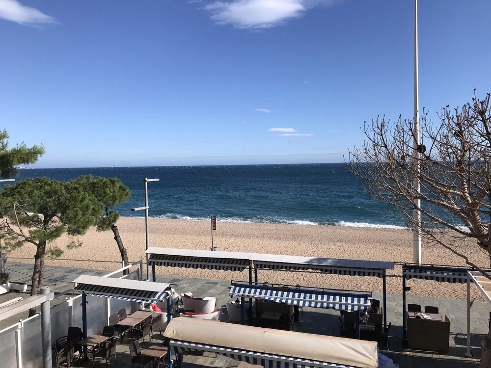 Apartamento Elypalace C-5