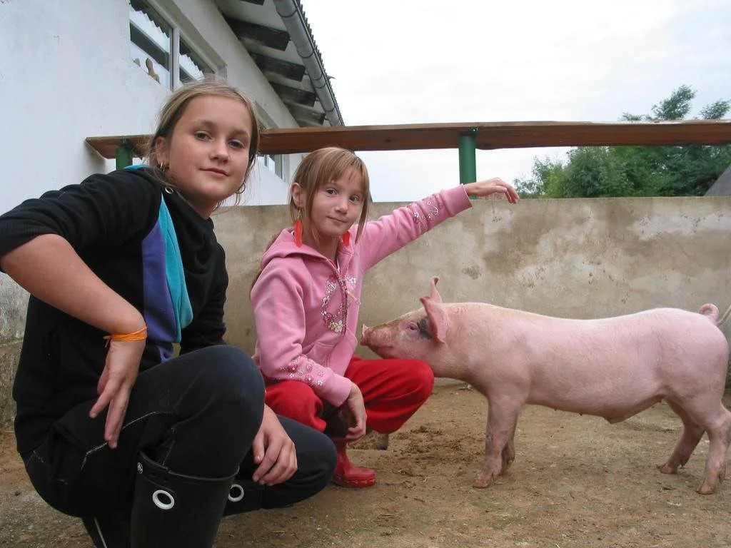 ZOOPARK Zelčín