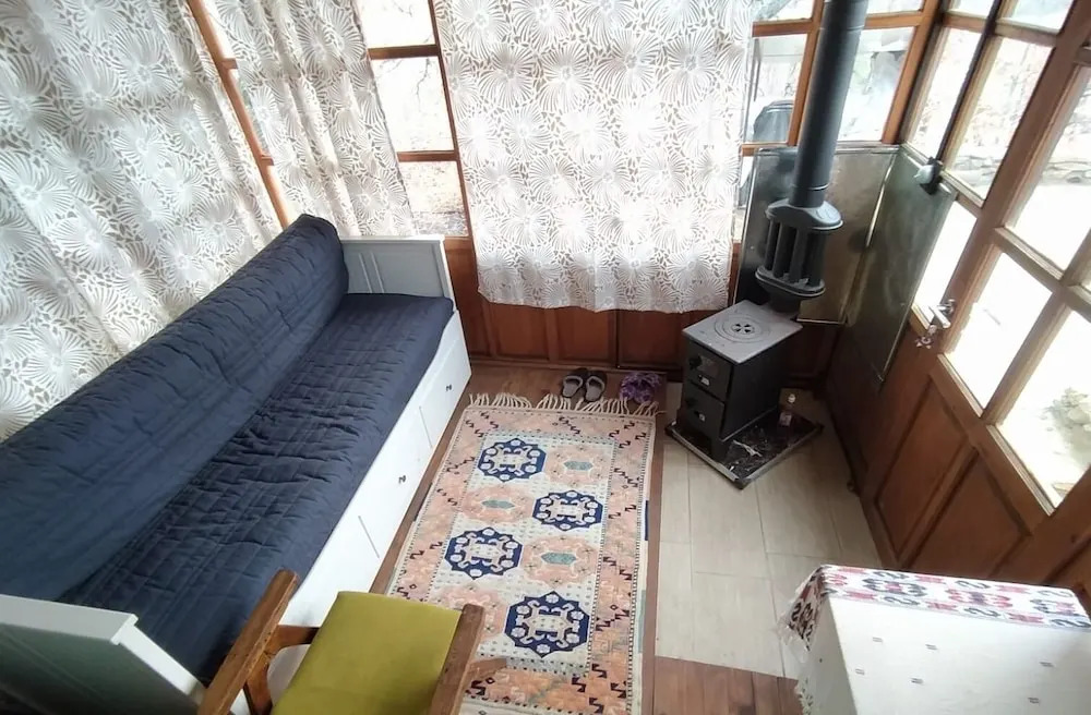 Torrhebia Dag Evi