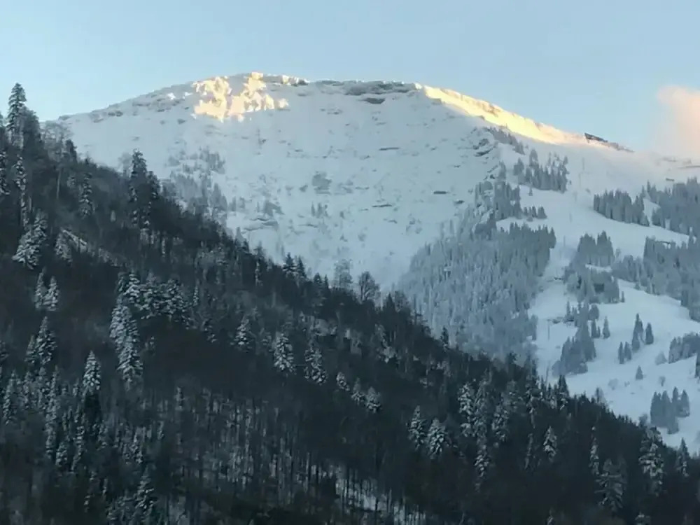 Hochgrat View in Steibis, Haus Akelei