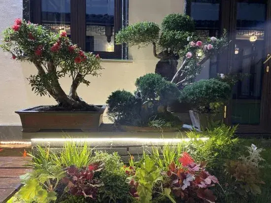 Jingning Qiqi B & B