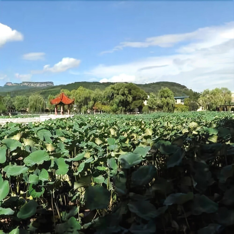 桓仁正方宾馆