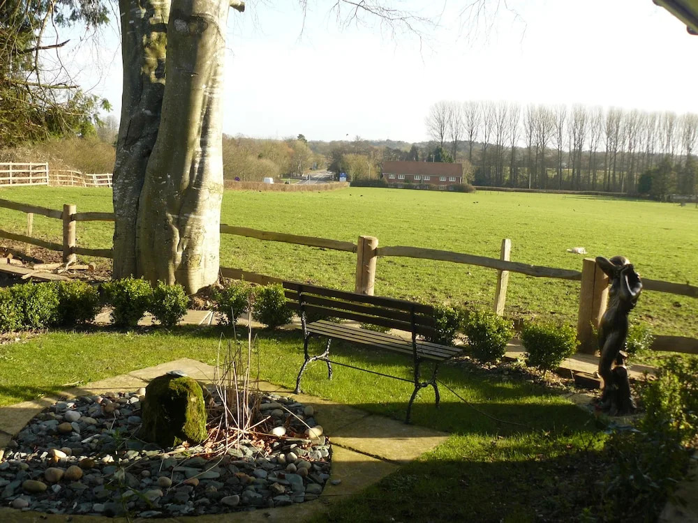 Forest View
