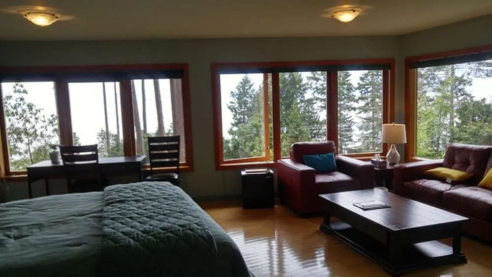 Sunshine Coast Treetop Wonderland