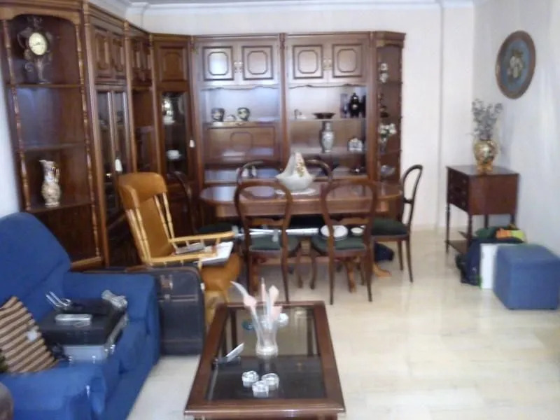 Apartment in Malaga 100580