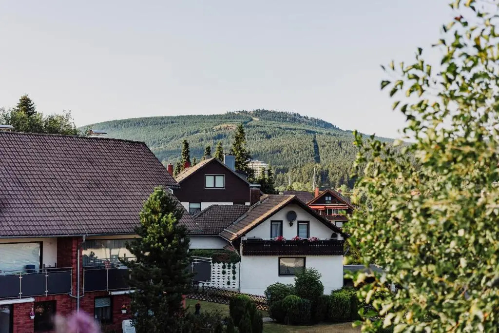 Hexe I - mit Blick auf den Wurmberg
