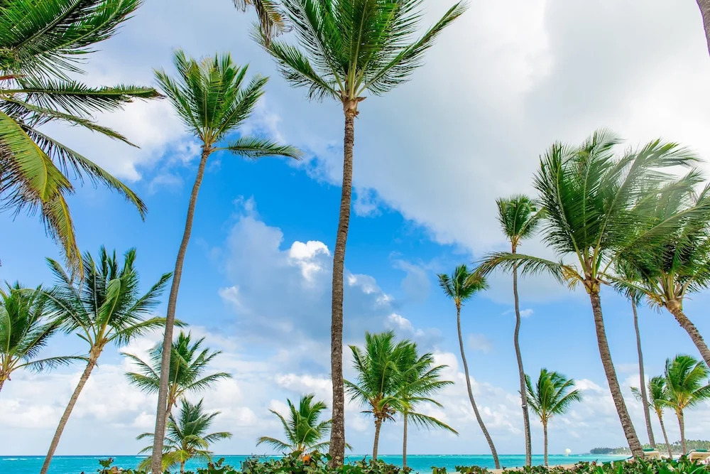Palm Green Vacations Whitesands