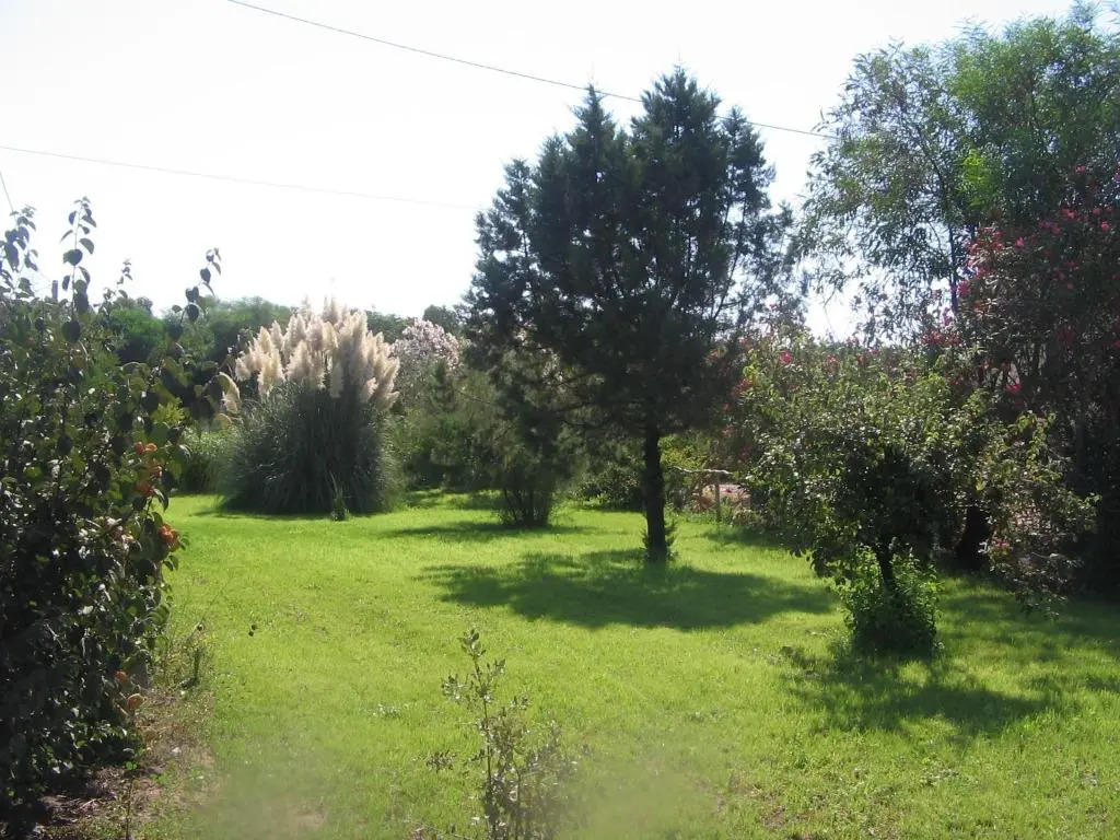 B&B Alvi