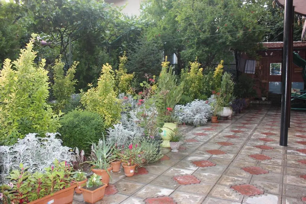 Hotel Panafi