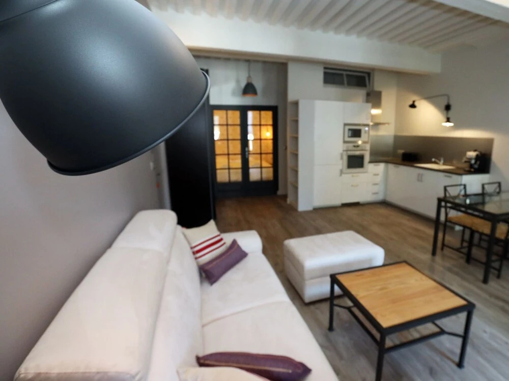 Annecy downtown 55 m2 Apart with big terrace