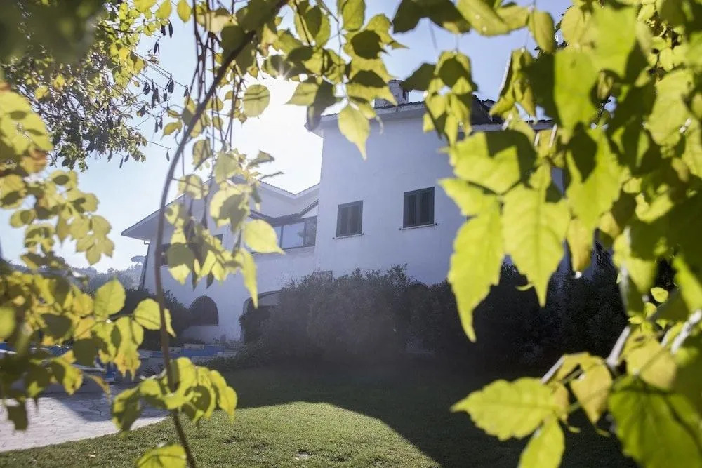 Il Pettirosso B&B
