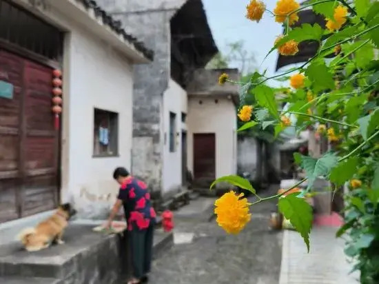 Dayu Chunhua · Poetic Homestay