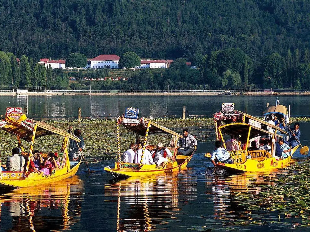 New Alexandra Houseboats