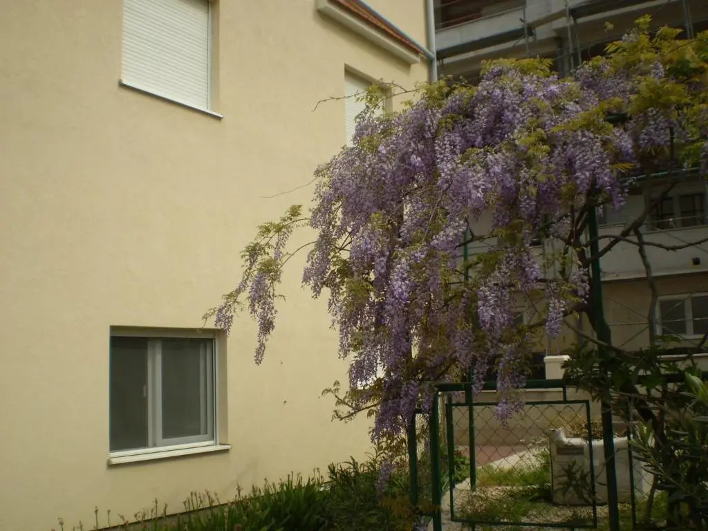 Apartmani Villa Marija