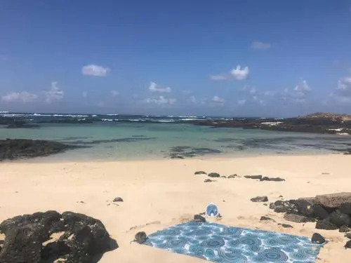 Turquesa Cotillo